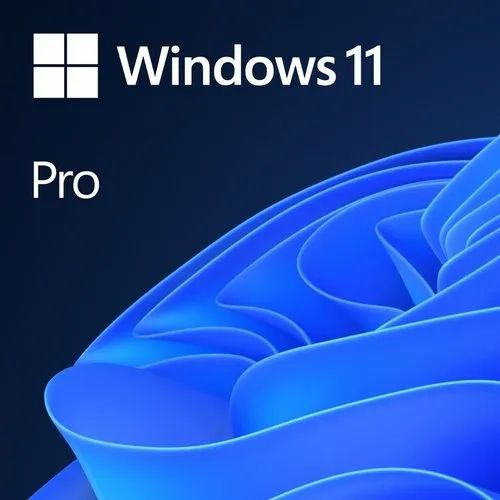 Microsoft Windows 11 Professional